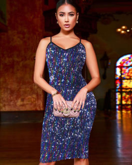 Glitter Bodycon Dress Sleeveless Sequins Shaping Sexy Party Dress