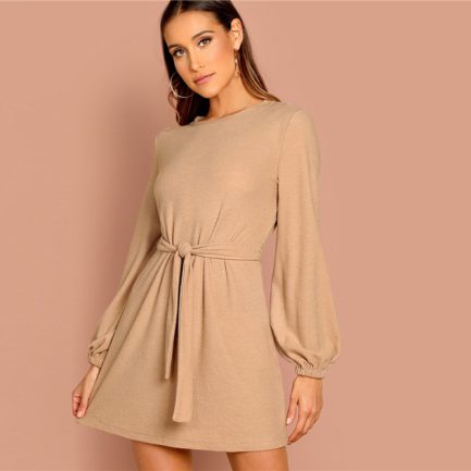 Camel Knot Front Lantern Long Sleeve Belted Solid Mini Dress - Power ...