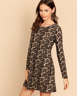 Multicolor Leopard Print A Line Mini Dress