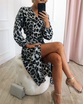 Sexy Leopard Summer Chiffon Mini Party Dresses