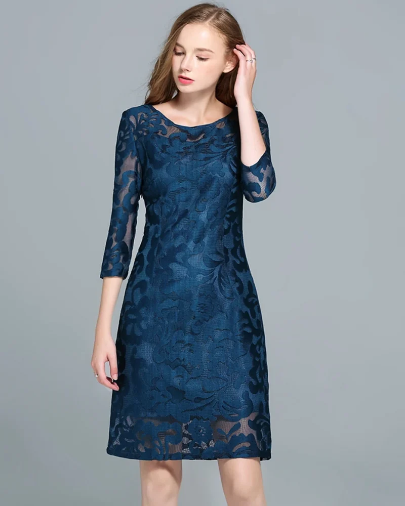 Vintage Lace Dress Regular Plus Size Solid A-Line Lace Dress Vestidos