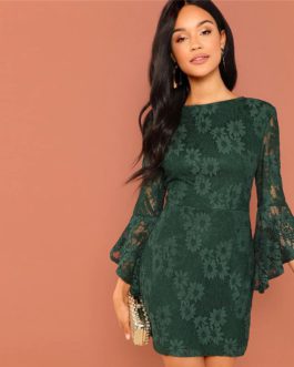 Women Going Out Flounce Sleeve Guipure Lace Sheer Bodycon Dress