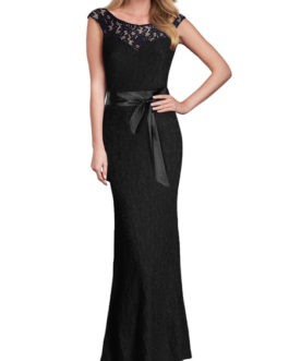 Elegant Sleeveless V Back Long Lace Dress