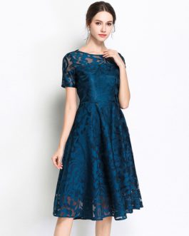 Elegant lace embroidery Vestidos Plus size party Dress