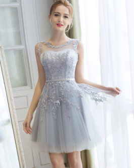 Homecoming Short Lace Applique Tulle Prom Party Dress