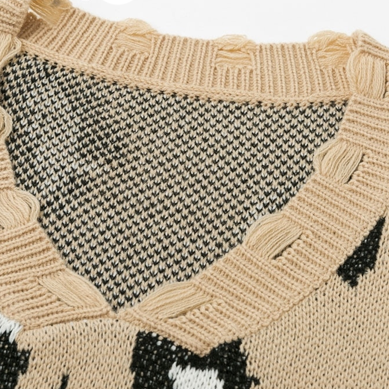 Leopard Print Bat Sleeve V-Neck Tassel Pullover Sweater - Power Day Sale