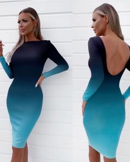 Sexy Bodycon Long Sleeve Party Dress