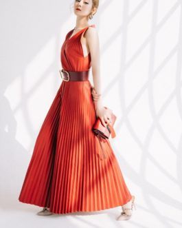 Elegant Designer Runway Sexy Long Dress
