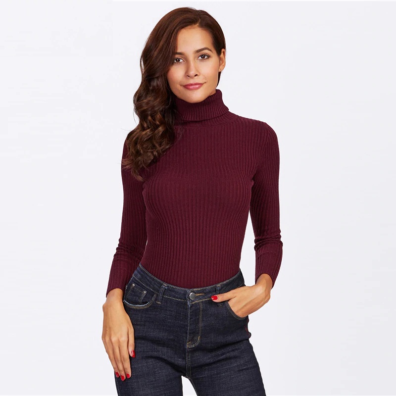 Rolled Neck Ribbed Knit Fitting Long Sleeve Basic Skinny Sweaters ...