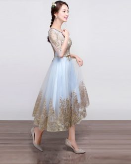 Elegant Diamond Mesh Embroidered Maxi Dress