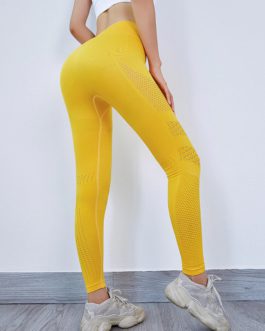 Sexy Cut Out Sport Seamless Legging Wear