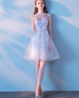 Round Neck Sleeveless Lace Applique Prom Dresses