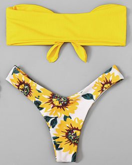 Floral Print Solid Color Two Piece Swimsuit