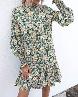 Skater Jewel Neck Long Sleeve Printed Fit And Flare Dress