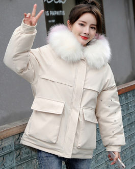 Pockets Hooded Zipper Long Sleeves Casual Coat Outerwear