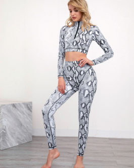 Snake Print Activewear Yoga Polyester Long Sleeves Sexy Workout Clothing Stretchy 2 Piece Set
