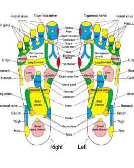 Acupuncture Cobblestone Colorful Reflexology Walk Foot Massager