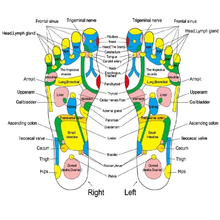 Acupuncture Cobblestone Colorful Reflexology Walk Foot Massager - Power 