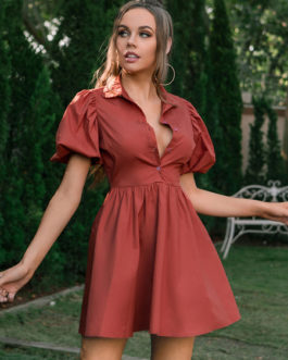Turndown Collar Puff Short Sleeve Pleated Fit And Flare Shirt Dress