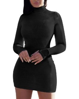 Fashion High Collar Long Sleeve Pure Color Holiday Casual Dress