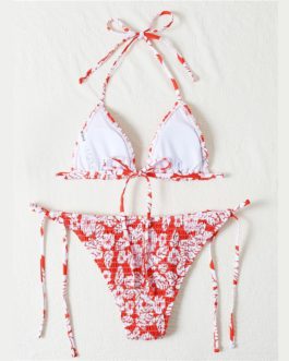 Floral Triangle Tie Side Bikini Swimsuit High Cut Beach Cute Bikinis Set