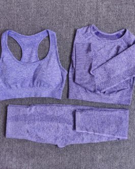 3Pcs Fitness Yoga Workout Sportswear Suits