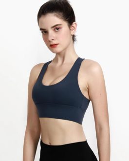 Adjustable Back Sport Bra Yoga Shockproof Gym Sportswear