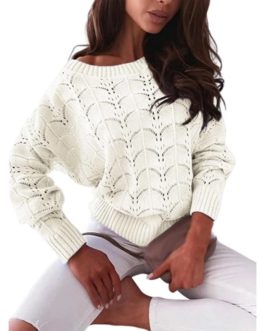 Hollow Out Batwing Sleeve Off Shoulder Knitted Top Sweater