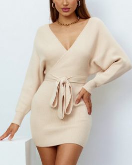 Sexy Deep V Neck Batwing Long Sleeve Sweater