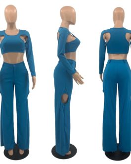 Trouser Suits Cropped Top and Wide Leg Pants Sets