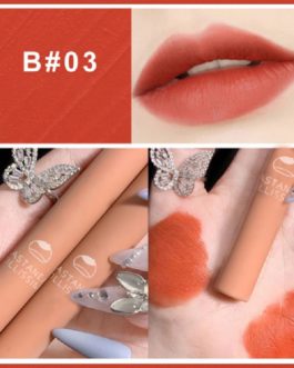 Waterproof pigment maquillaje makeup lip gloss