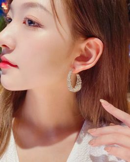 Fashion small high-end atmosphere decoration Earring