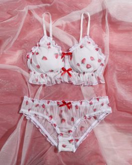 Sexy Print Perspective Lace Erotic Lingerie Set