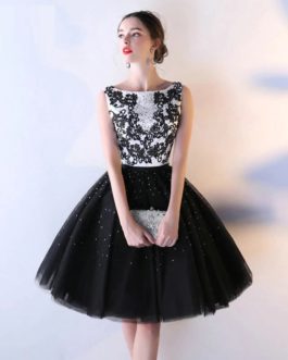 Crystal Lace Vintage Prom Evening Party Dress