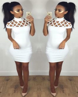 Sexy Turtle Neck Hollow Out Mesh Slim Dresses