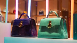 Read more about the article 5 Best Handbags for Women You Can Buy Online!