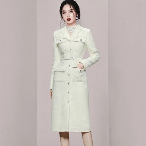 Single Breasted Long Sleeve Tweed Tassel Robe Dress