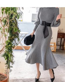 Elegant Turtleneck Long Sleeve Casual Bodycon Sweater Dress