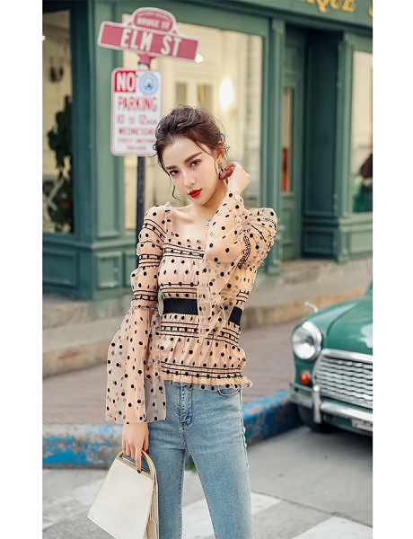 Sexy Sheer Mesh Dot Puff Long Sleeve Cropped Tops