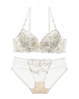 Embroidered Flower Lace Push Up Soft Cute Bra and Panties Set
