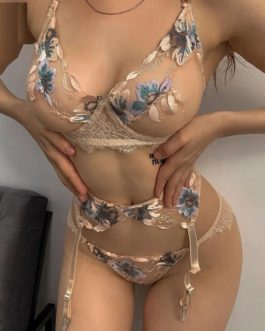 Sexy Transparent Sensual Lace Embroidery Bielizna Set