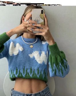 Elegant cloud knitted Sexy sweater