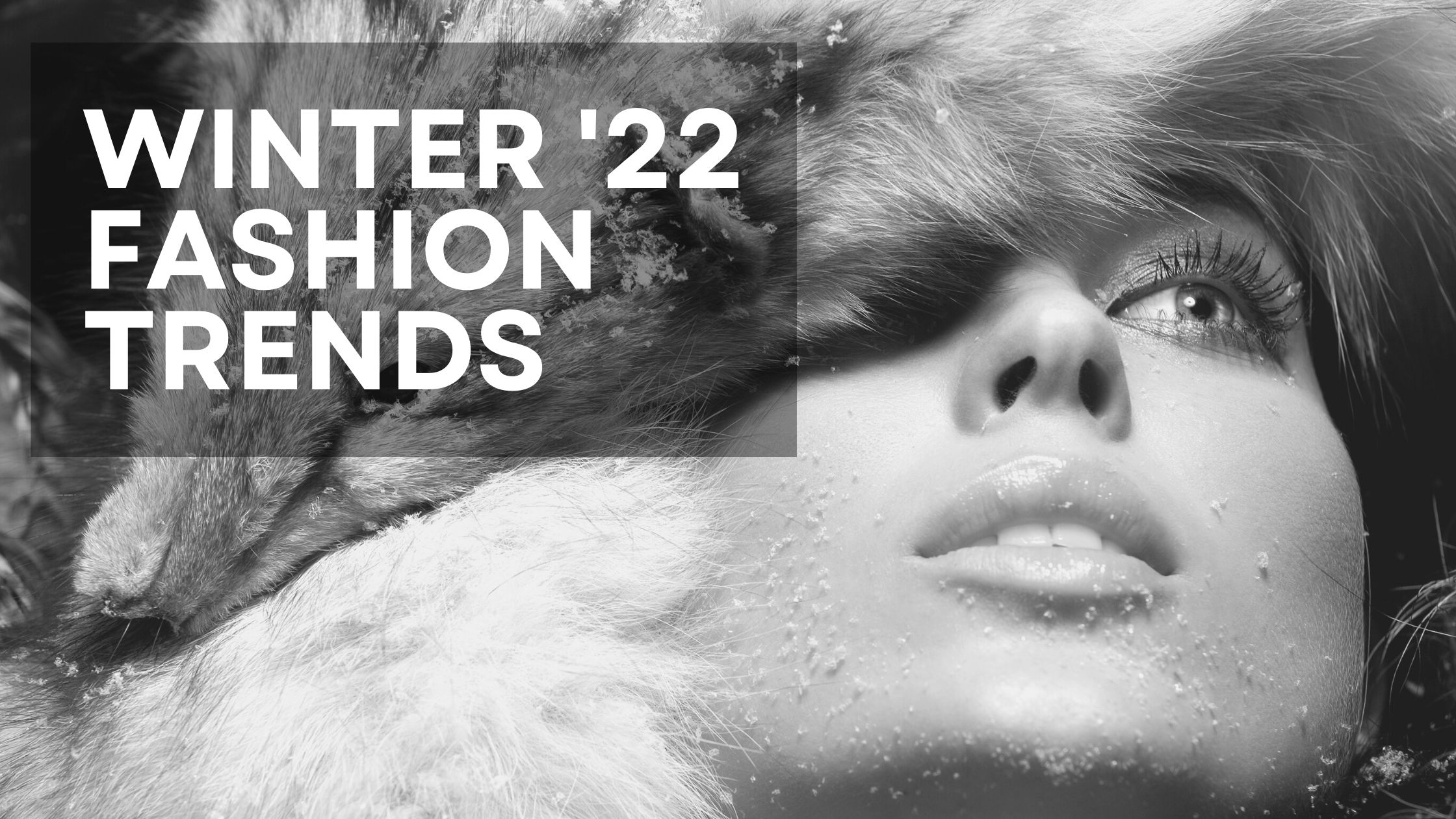 You are currently viewing Winter Fashion Trends Decoded 2022