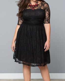 Plus Size Knee Length Lace Dress – Horizontal Seam Waistline