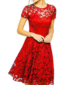 Womens Lace Dress – Lace Ruffle Skirt Dress