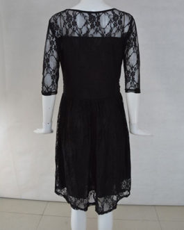 Plus Size Knee Length Lace Dress – Horizontal Seam Waistline