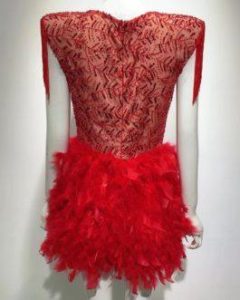 Luxury V Neck Sequined Tassel Feather Mini Dress