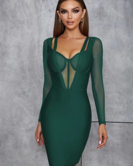 Long Sleeve Hollow Out Corset Bodycon Dress