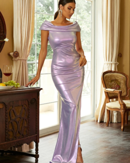 Purple  Slit Bodycon Maxi Dress