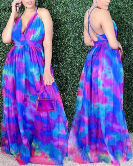 All Over Print Halter Deep V Neck Sleeveless Backless Lace Up Maxi Dress